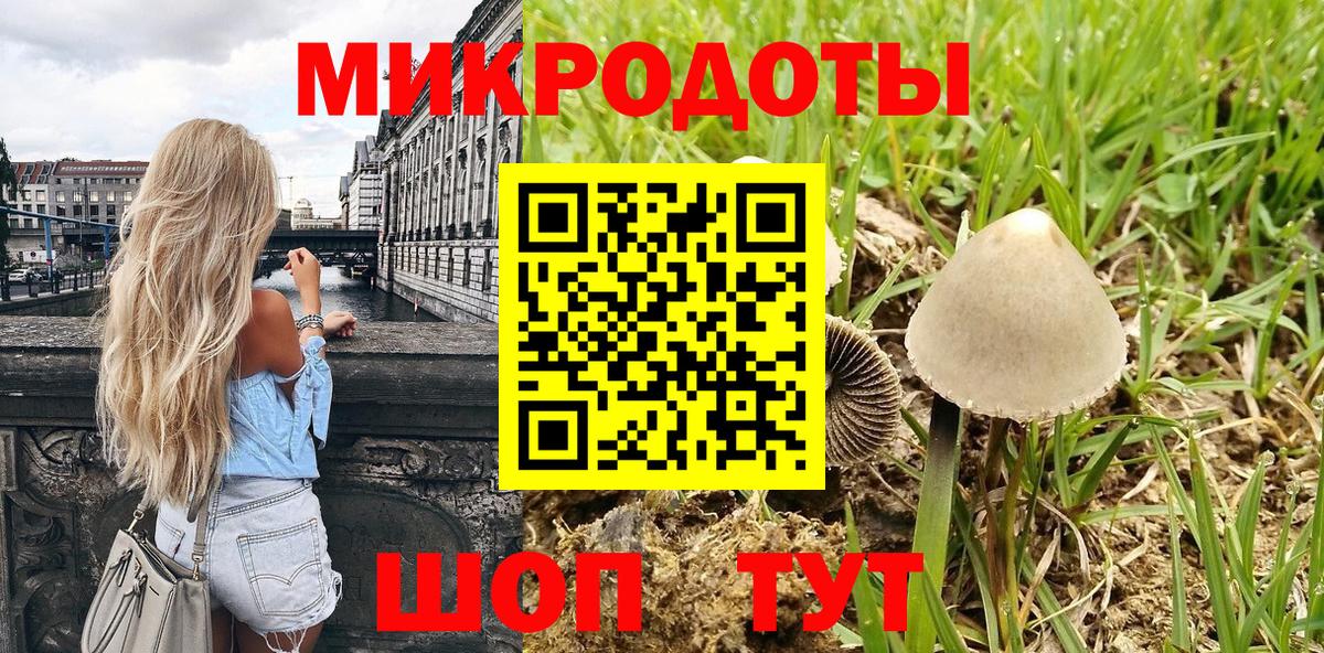 Долгопрудный  Галлюциногенные грибы мухоморы  Вход с VPN  Псилоцибиновые грибы GOLDEN TEACHER 